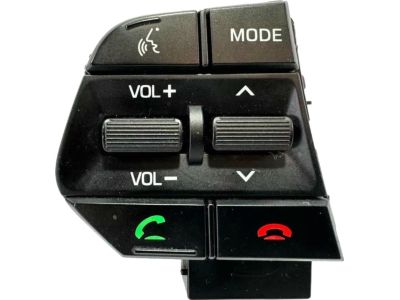 Hyundai 96700-C1030 Left Steering Remote Control Switch Assembly 96700-C1030 Hyundai Left Steering Remote Control Switch Assembly Product Photo 1 of 6