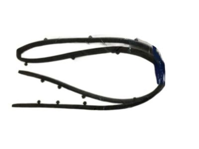 2017 Hyundai Ioniq Headlight Seal - 86357-G2000