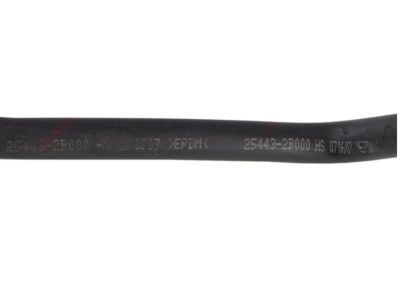 Hyundai Santa Fe Coolant Reservoir Hose - 25443-2B050