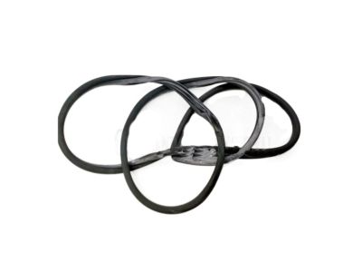 Hyundai Accent Weather Strip - 82110-1E001