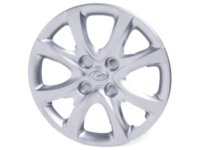 Hyundai 52960-1R000 Wheel Hub Cap Assembly