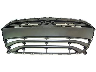 Hyundai 86351-A5010 Radiator Grille