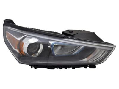 Hyundai 92102-G2050-MBL Headlamp Assembly, Right