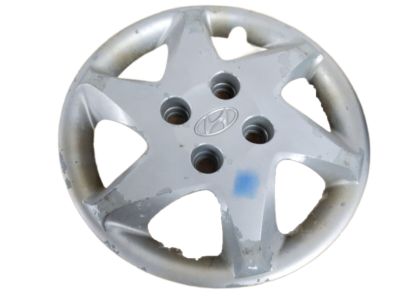 2001 Hyundai Elantra Wheel Cover - 52960-2D300