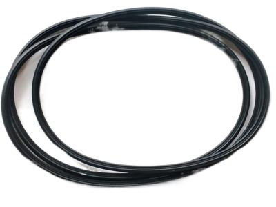 2014 Hyundai Genesis Coupe Weather Strip - 81613-2M001