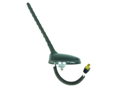 2006 Hyundai Accent Antenna - 96250-1E000