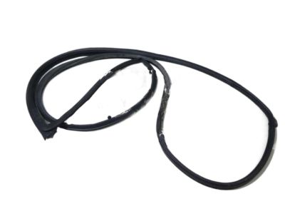 Hyundai Elantra Touring Weather Strip - 82130-2L200