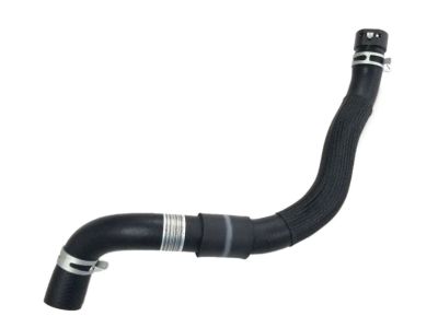 Hyundai 25410-D9500 Hose Assembly-Radiator,Lower