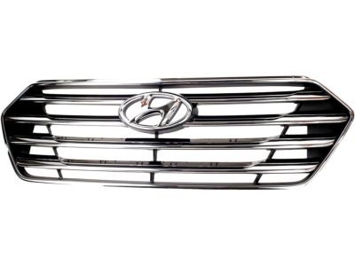 Hyundai 86350-B8000 Radiator Grille Assembly