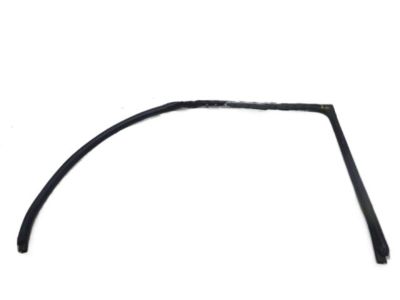 2000 Hyundai Accent Weather Strip - 82110-25000