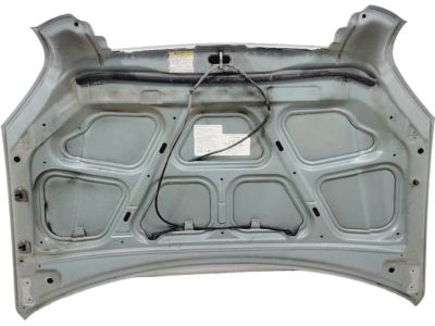 2007 Hyundai Tucson Hood - 66400-2E020