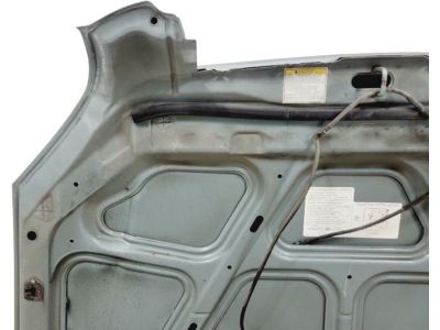 2007 Hyundai Tucson Hood - 66400-2E020
