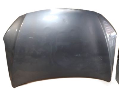 2017 Hyundai Elantra Hood - 66400-F2000