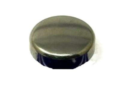 Hyundai 15733-30000 Cap-Sealing