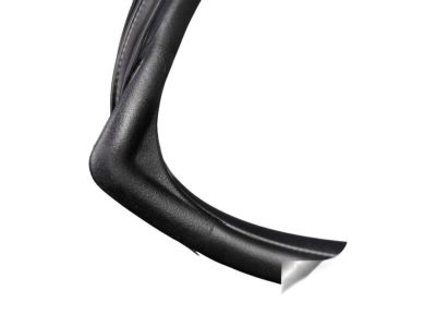 Hyundai Elantra Door Seal - 83120-F2000-4X