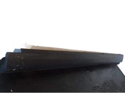 Hyundai 87710-0W200 Moulding Assembly-Side Sill,LH