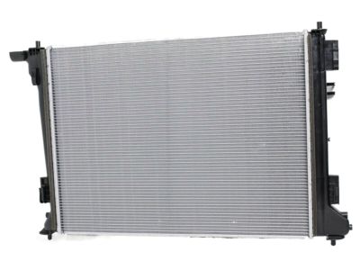 Hyundai 25310-D3500 Radiator Assembly