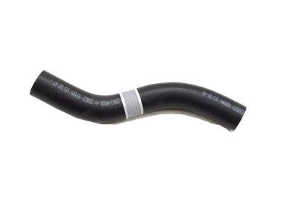 2020 Hyundai Accent Radiator Hose - 25411-H9100