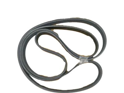 Hyundai Santa Fe XL Drive Belt - 25212-3C312