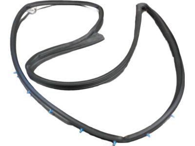 Hyundai Elantra GT Door Seal - 82140-G3000