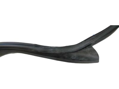 Hyundai Elantra GT Door Seal - 82140-G3000