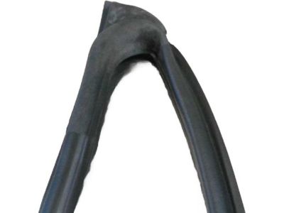 Hyundai Elantra GT Door Seal - 82140-G3000