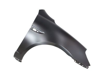 Hyundai 66321-1E300 Panel-Fender,RH