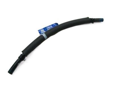 2003 Hyundai Elantra Cooling Hose - 25420-2D400