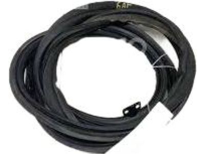 Hyundai Genesis G90 Weather Strip - 87321-D2000