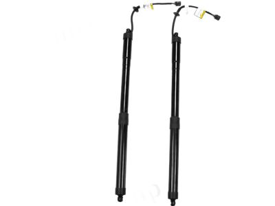 Hyundai Santa Fe Lift Support - 81771-B8100