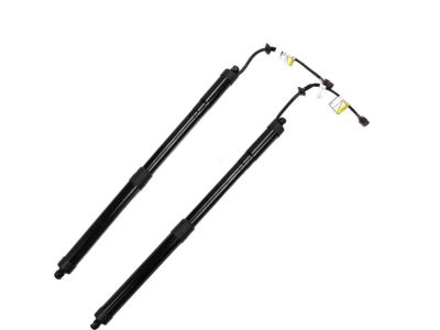 Hyundai Santa Fe Lift Support - 81771-B8100