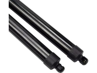 Hyundai Santa Fe Lift Support - 81771-B8100