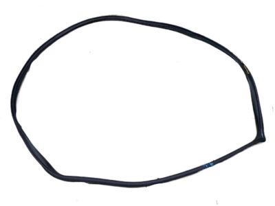 2019 Hyundai Elantra Weather Strip - 83110-F2000-4X