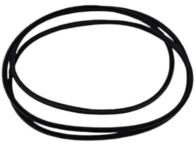 Hyundai 81613-2M000 Weatherstrip-Sunroof Glass