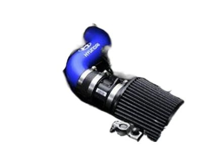 Hyundai U8970-1E310 Short Ram Intake System-Blue M