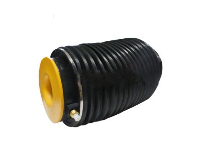 Hyundai Air Suspension Spring - 55360-3M501
