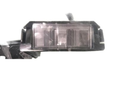 Hyundai 92501-G2000 Lamp Assembly-License Plate