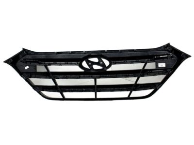 Hyundai 86350-D3000-RAM Radiator Grille Assembly