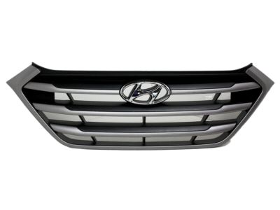 Hyundai 86350-D3000-RAM Radiator Grille Assembly