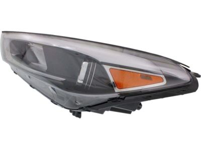 Hyundai 92101-D3150 Left Head Light Compatible