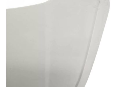 2021 Hyundai Venue Hood - 66400-K2010