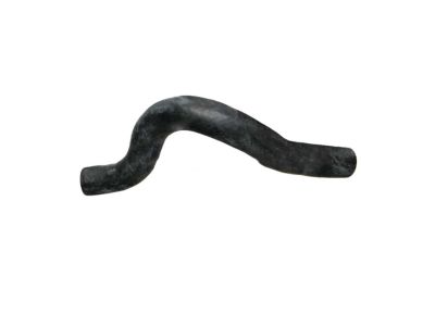 2017 Hyundai Elantra Radiator Hose - 25411-F2100