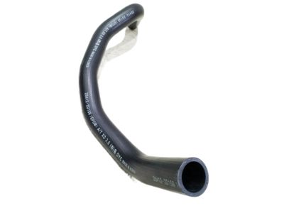 2001 Hyundai Elantra Radiator Hose - 25412-2D150