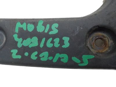 2018 Hyundai Elantra Mud Flaps - 86842-F2000