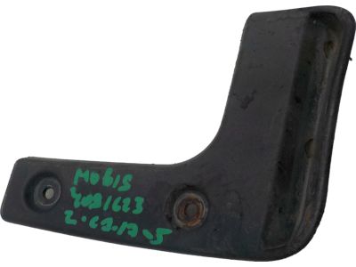 2018 Hyundai Elantra Mud Flaps - 86842-F2000