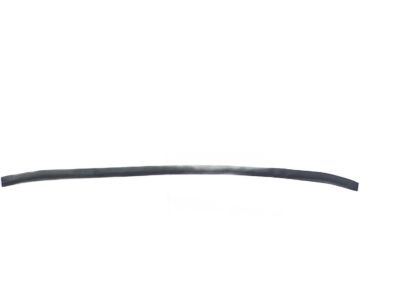 Hyundai Santa Fe Headlight Seal - 86435-2B000