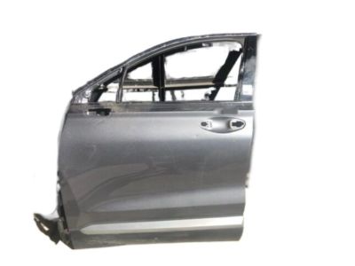 Hyundai 76003-S2000 Panel Assembly-Front Door,LH