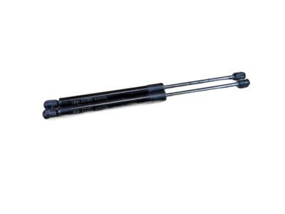 Hyundai Santa Fe Lift Support - 81770-0W011