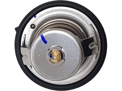 Hyundai Thermostat - 25500-2GGA0