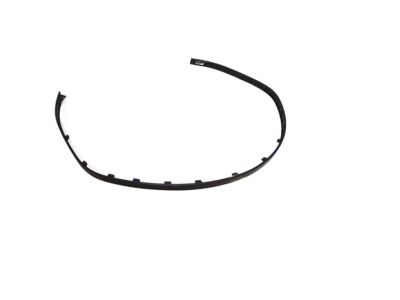 Hyundai 86567-J9000 Bumper Lip, Front